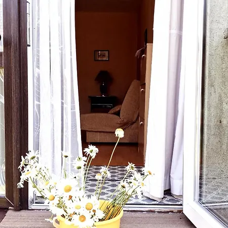 Gintariukas * Palanga