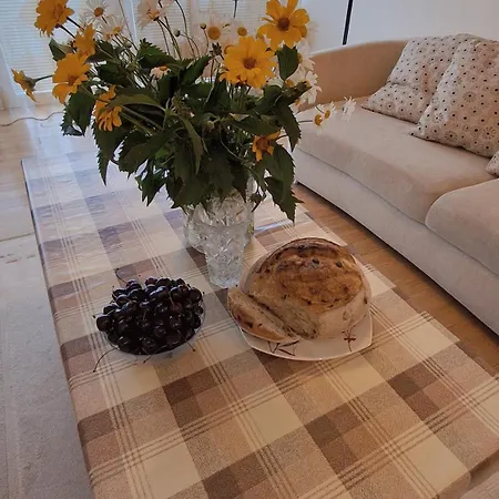 Appartement Gintariukas