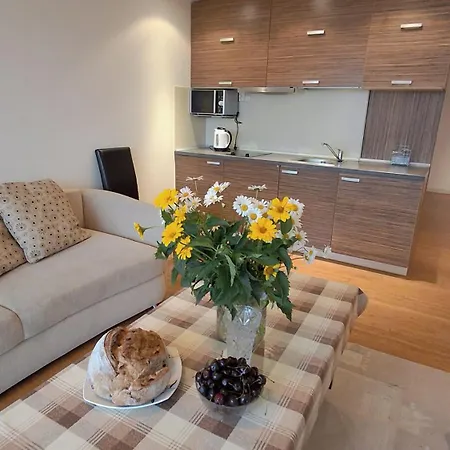 Gintariukas Appartement *